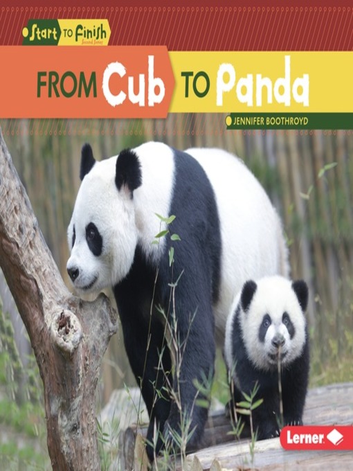 Title details for From Cub to Panda by Jennifer Boothroyd - Available